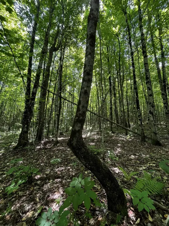 Picture 16
