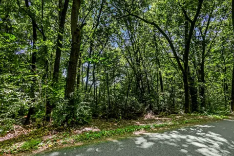 Residential Land in Cleveland, TN