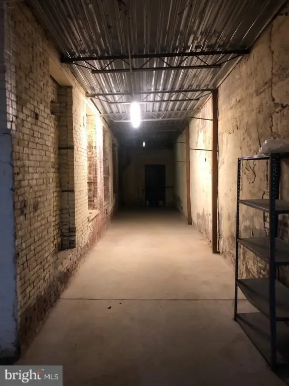 Picture 16