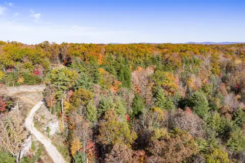 Wooded Acreage Near Scott Airport