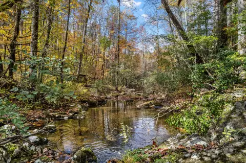 Riverfront Land in Tellico Plains