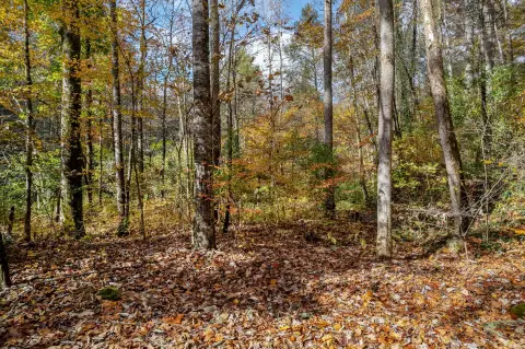 Riverfront Land in Tellico Plains