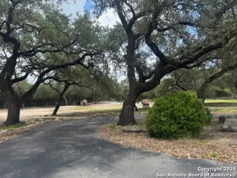 Land with Mature Oak Trees