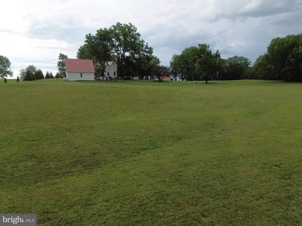 Picture 7