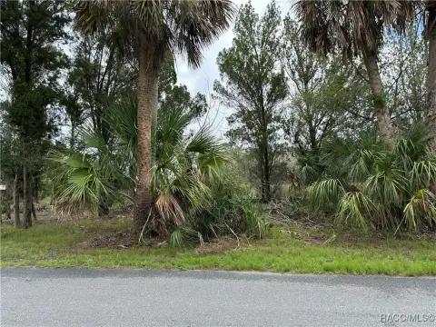 Waterfront Land in Homosassa, FL