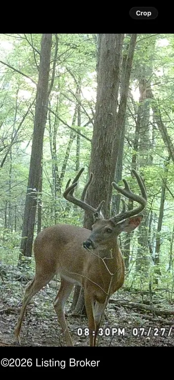 Picture 17
