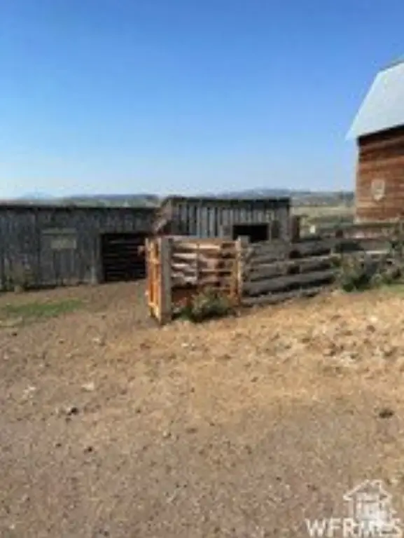 Picture 7