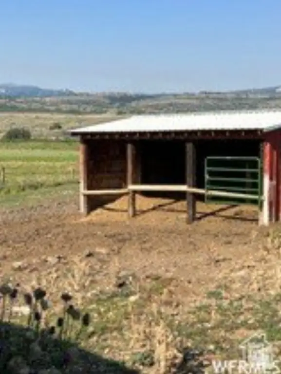 Picture 5