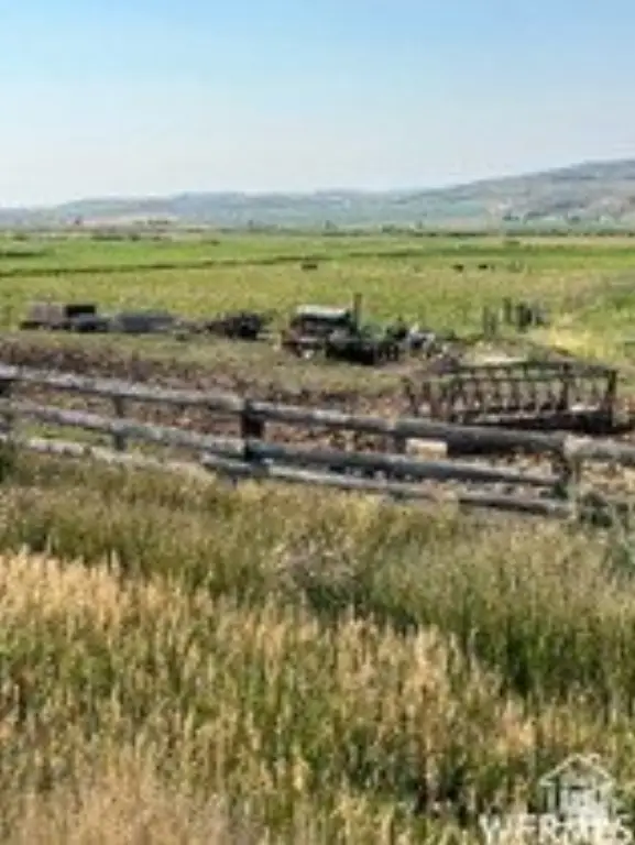 Picture 13