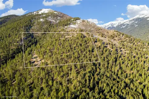 Montana Land with Forest Border