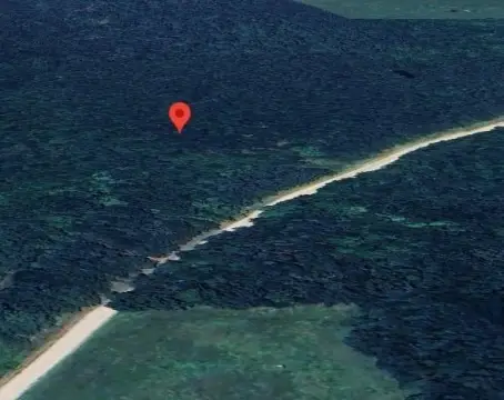 50-Acre Wooded Tract in De Kalb