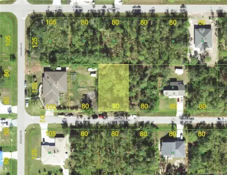 Land in Developing Punta Gorda