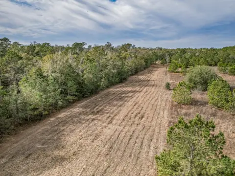 Crawfordville Land with Sunrise View