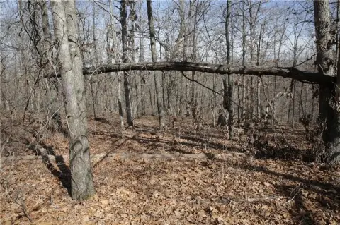 Residential Lot in Bella Vista