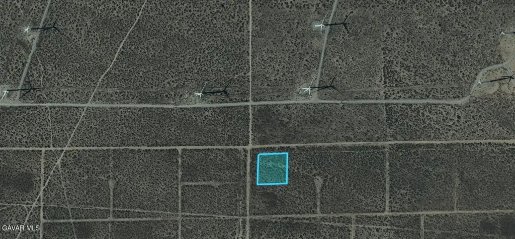Picture 5
