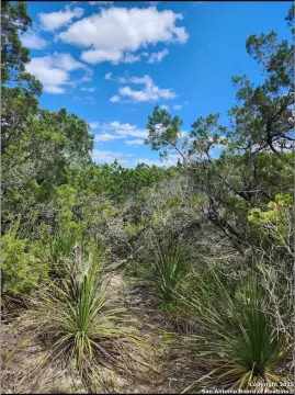 Canyon Lake Residential Lot