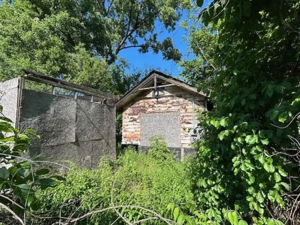 Picture 17