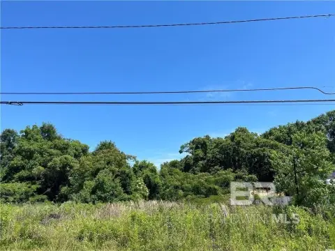 Commercial Land in Midtown Mobile