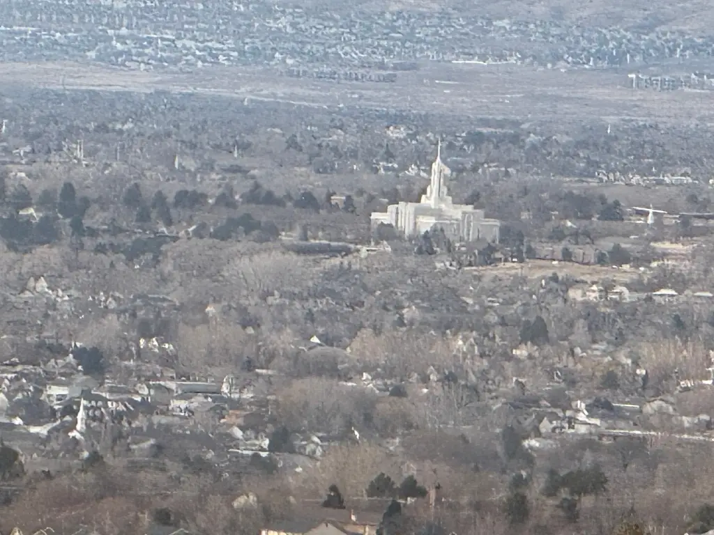 Picture 19