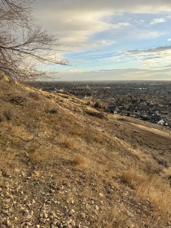 Picture 23