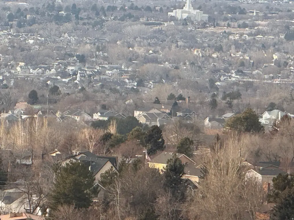 Picture 18
