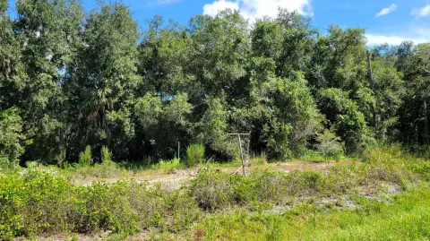 Agricultural Land