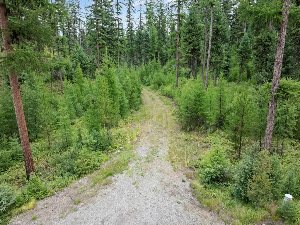 Picture 6