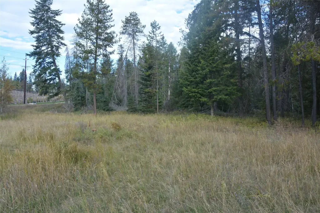 Picture 13