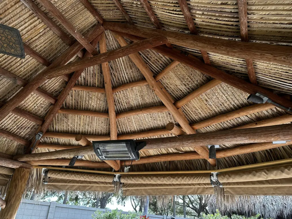 Picture 5