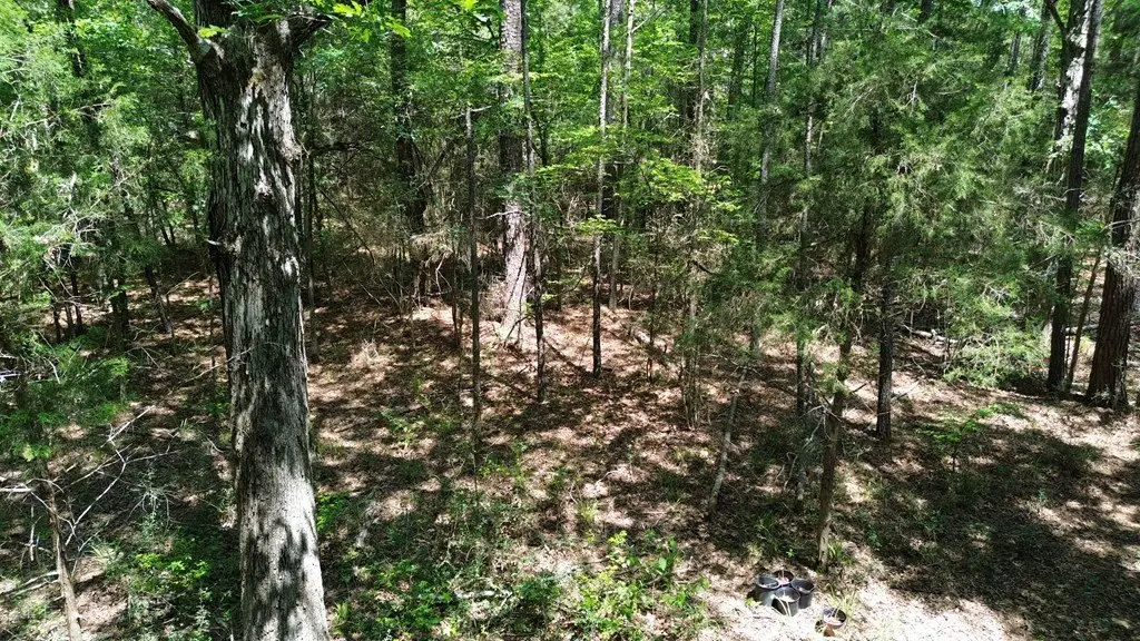 Picture 18