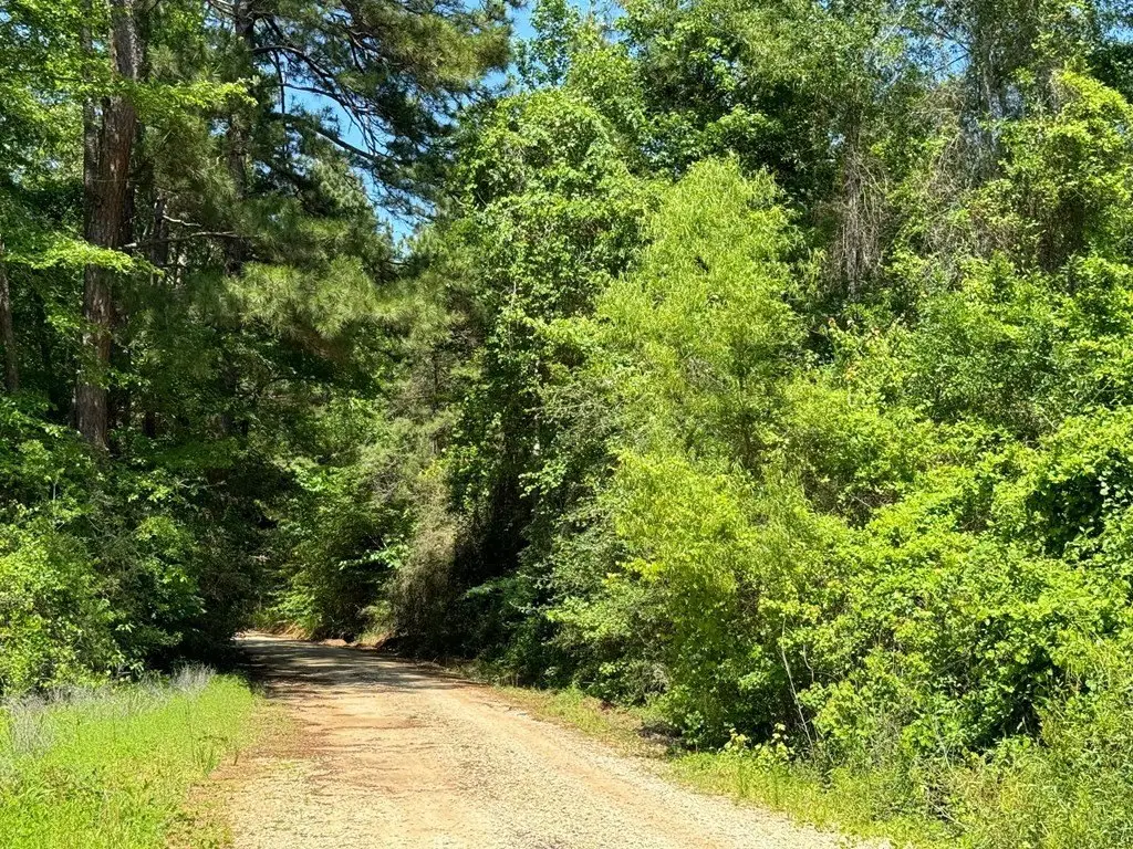 Picture 27