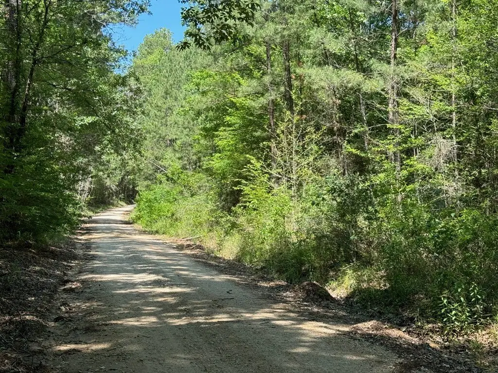 Picture 4