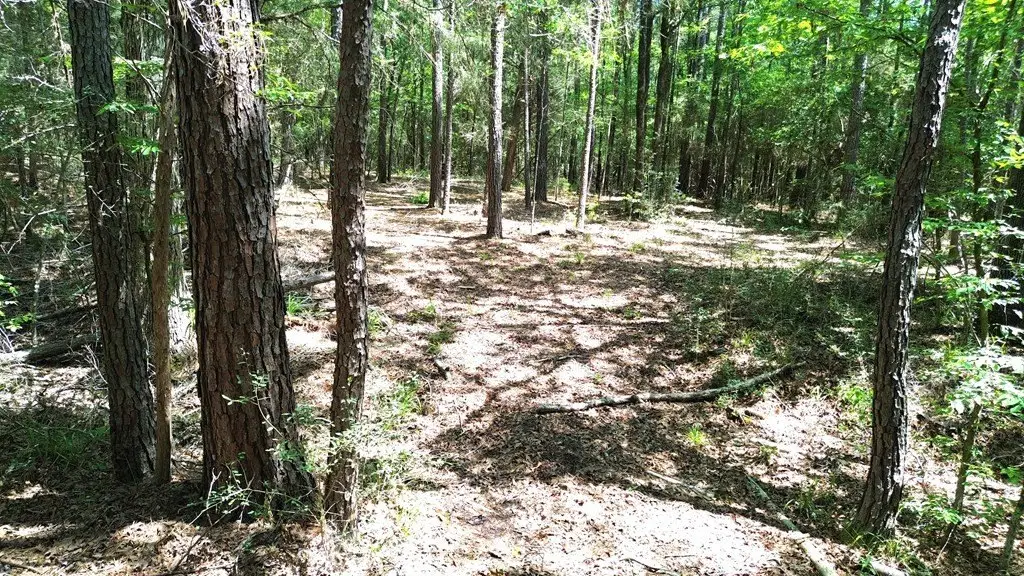 Picture 19