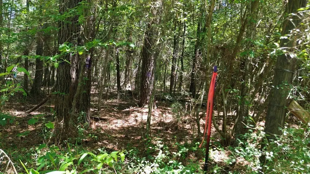 Picture 24