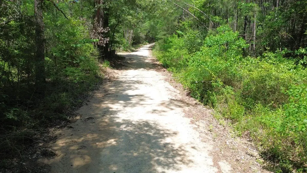 Picture 12