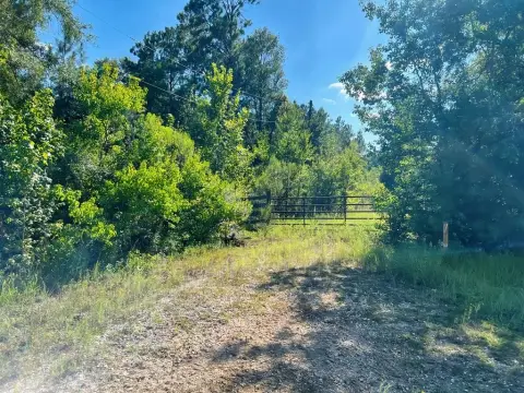 Unrestricted Acreage for Development