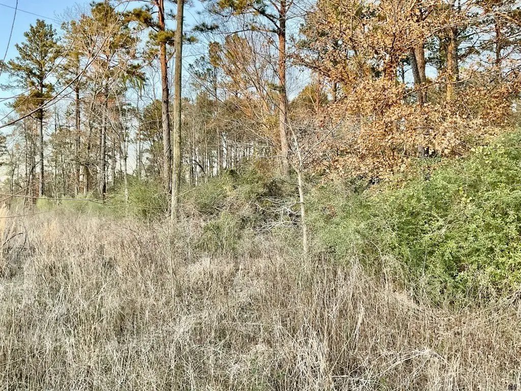 Picture 8