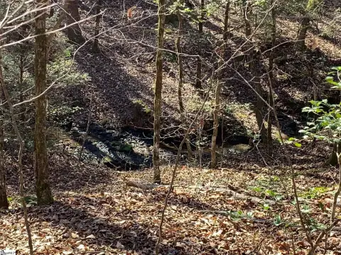 Marietta, SC Acreage with Stream