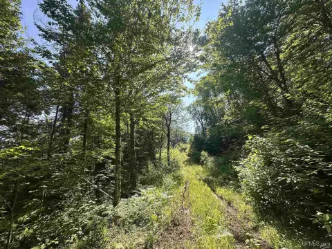 400-Acre Hunting Land