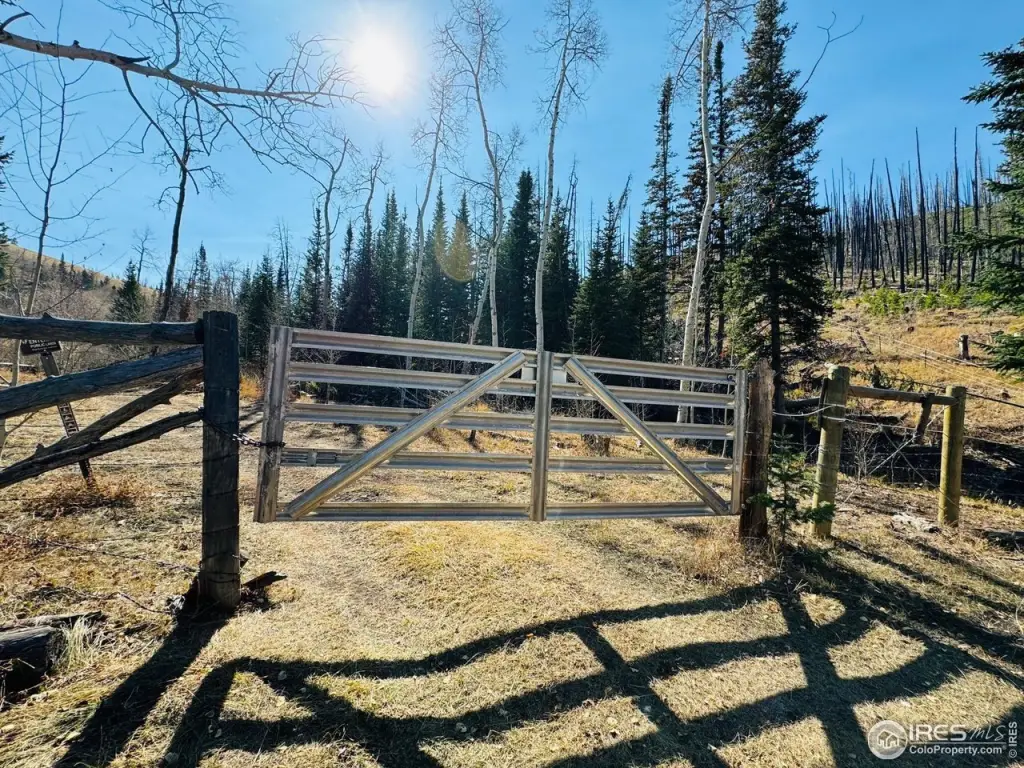 Picture 30