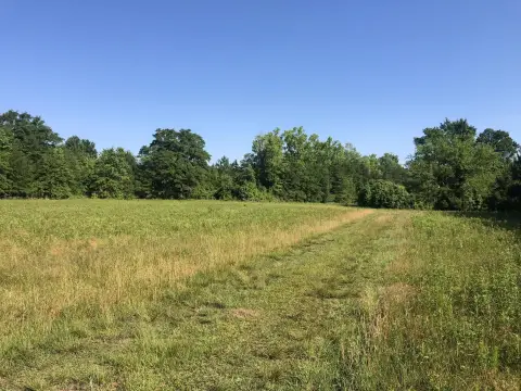 79 Acres Near Charleston