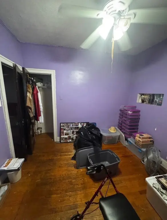 Picture 4