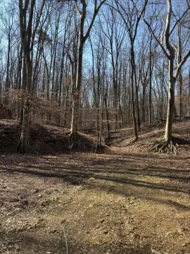 14.43 Acres in Bradley County