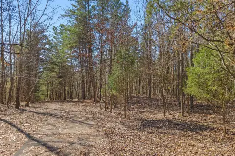 Spring City Land with Views