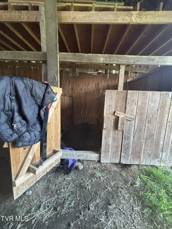 Picture 23
