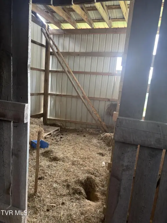 Picture 25