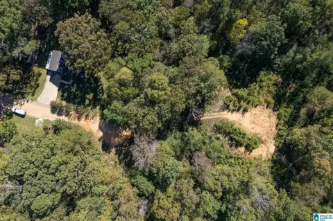 Fultondale Acreage Ideal for Development