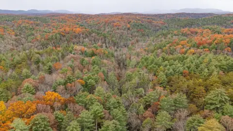 Unrestricted Land in Tellico Plains