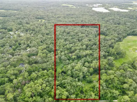 20 Acres of Untouched Land