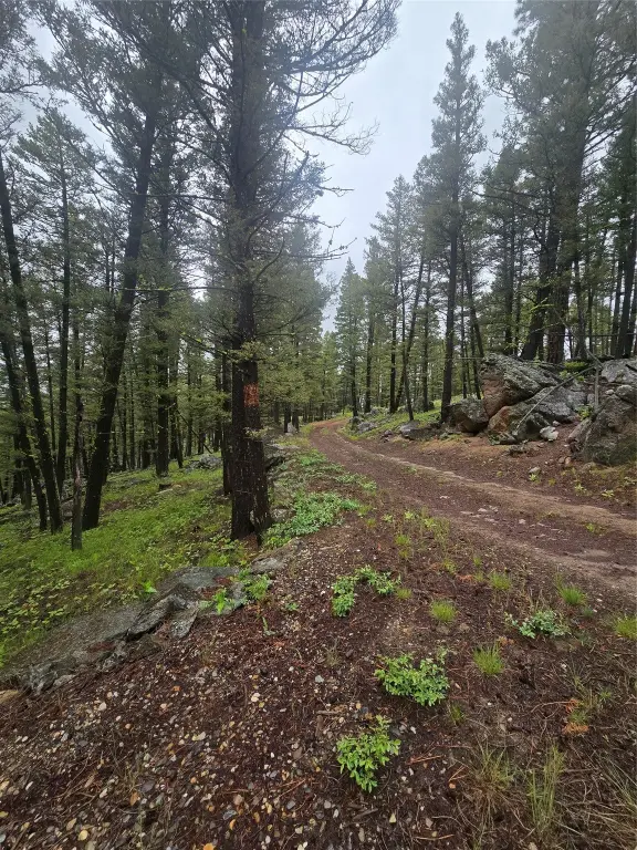 Picture 6
